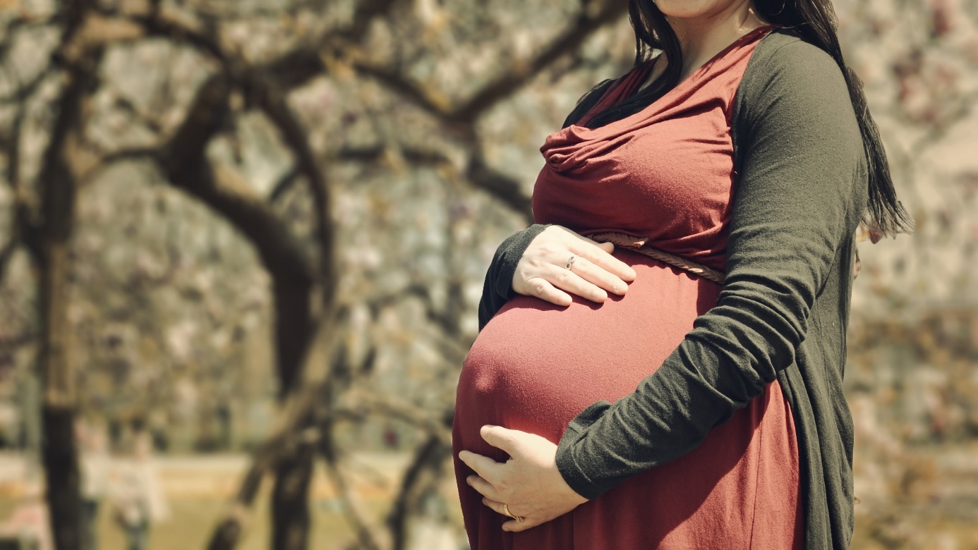 Hochschwangere Frau in rotem Kleid und brauner Strickjacke hält sich ihren Bauch. 

[Copyright = Arteida MjESHTRI / unsplash.com]